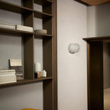 Caboche Plus Wall Light by Foscarini, Color: Transparent, Grey, Size: Small, Medium, | Casa Di Luce Lighting