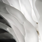 Ceiling Light 60 by Italamp, Color: Transparent, Etched, Gold, Size: Small, Large, | Casa Di Luce Lighting