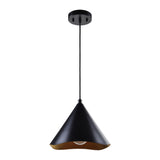 Cinder Pendant Light By Renwil - Matte Black Outer