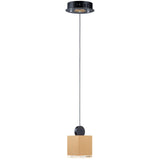 Medium Black/Gold Nob Pendant Light by ET2