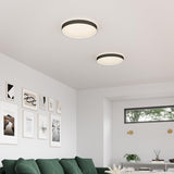 Black-White Essex Flushmount in Living Room