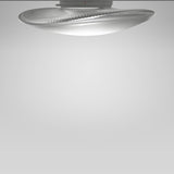 Loop Wall/Ceiling Light by Fabbian, Title: Default Title, , | Casa Di Luce Lighting