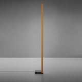 Bronze Pivot LED Floor Lamp by Fabbian