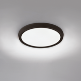Argo Wall / Ceiling Light by Modern Forms