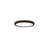 Argo Wall / Ceiling Light by Modern Forms