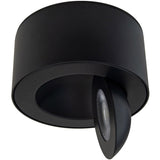Black I Spy Outdoor Ceiling Light by Modern Forms
