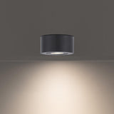 Black I Spy Outdoor Ceiling Light by Modern Forms