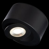 Black I Spy Outdoor Ceiling Light by Modern Forms