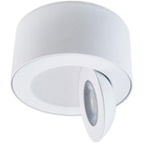 White I Spy Outdoor Ceiling Light by Modern Forms