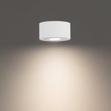 White 3500K Peek Ceiling Light by W.A.C. Lighting