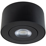 Black Peek Ceiling Light by W.A.C. Lighting