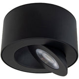 Black Peek Ceiling Light by W.A.C. Lighting
