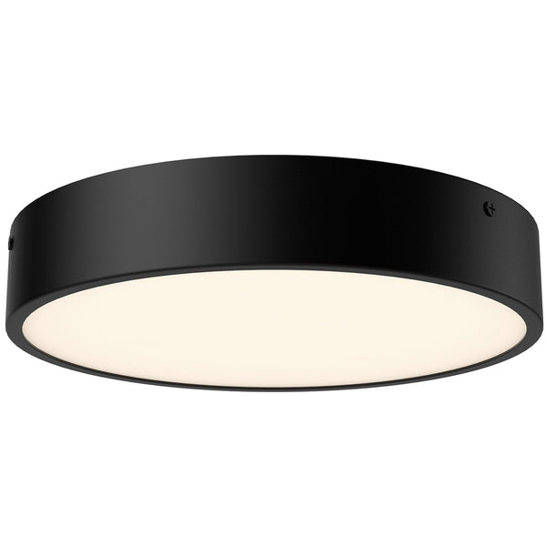 Matte Black Small Adelaide Ceiling Light by Alora