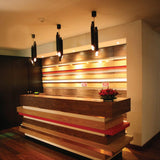 Black Matte Outside/Gold Painted Inside Galliano Pendant by Delightfull