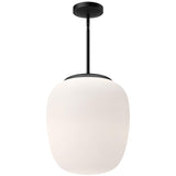 Matte Black Holden Pendant Light by Alora
