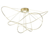 Hoops Ceiling Light