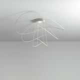Hoops Ceiling Light