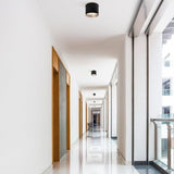 Mousinni Ceiling Light by Kuzco