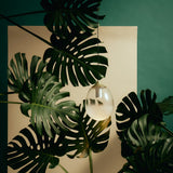 Mist LED Pendant By Seed, Finish: Champagne Gold