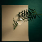Mist LED Pendant By Seed, Finish: Champagne Gold