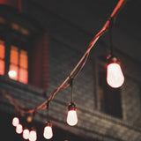 Orion 48 RGB CCT Outdoor String Light Pro By Dals String Light