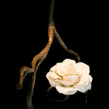 Orpheus Pendant Light