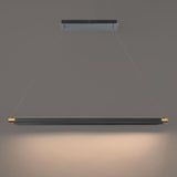 Black/Aged Brass Pavilion Suspension by W.A.C. Lighting