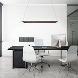 Black/Aged Brass Pavilion Suspension in Office