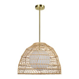 Palm Pendant Light By Renwil1