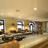 Pavilion Pendant Light By Egoluce-White Color hanging on Ceiling Of Bar