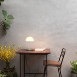 Pensee Table Lamp By Seed, Finish: Matte Opal Champagne Gold
