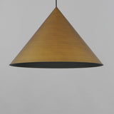 Pitch Pendant Light By ET2 Medium AB Finish