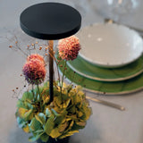 Poldina Reverso Battery Operated Table Lamp By Zafferano