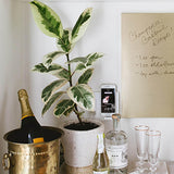 White Radiant Wireless Charger by Legrand Radiant