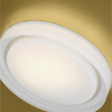 Castor Ceiling Light By Tech Lighting, Finish: Natural Brass