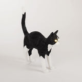 Jobby The Cat Black & White By Seletti