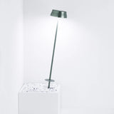 Sister Outdoor Path Light, Finish: Green