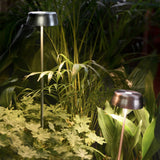 Sister Outdoor Path Light, Finish: Copper / Green