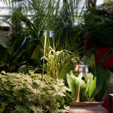 Sister Outdoor Path Light, Finish: Copper / Green