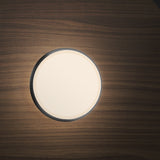 Sky Dome Flush By Pablo, Finish: Oak