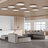 Sky Dome Flush By Pablo, Finish: White