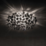 Clizia Mama Non Mama Wall/Ceiling LIght by Slamp