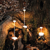 Swap Mini Battery Operated Table Lamp, Finish: White