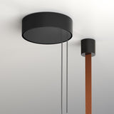 T.O Pendant By Pablo, Number Of Lights: Single, Finish: Chrome, Color: Burnt Orange