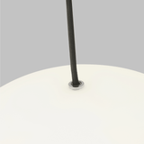 Hanea Grande Pendant by Tech Lighting, Finish: Black, Natural Brass, Chrome, , | Casa Di Luce Lighting