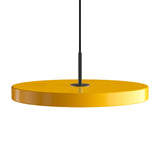 Asteria Pendant Light