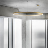 Large Matt Gold Zirkol C Round Suspension by Nemo