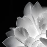 Veli Foliage Ceiling/Wall Light by Slamp