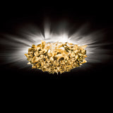 Veli Metal Ceiling/Wall Lamp by Slamp