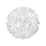 Veli Ceiling/Wall Lamp by Slamp